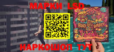 ешки Гатчина