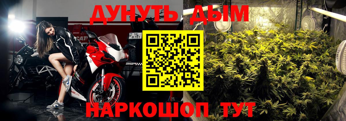 Конопля индика Дедовск